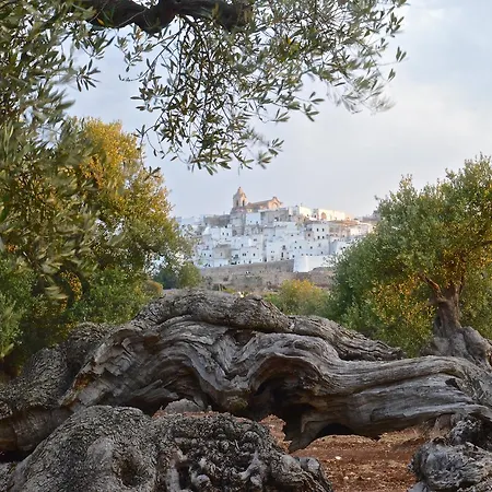 Casa Campari Apartment *