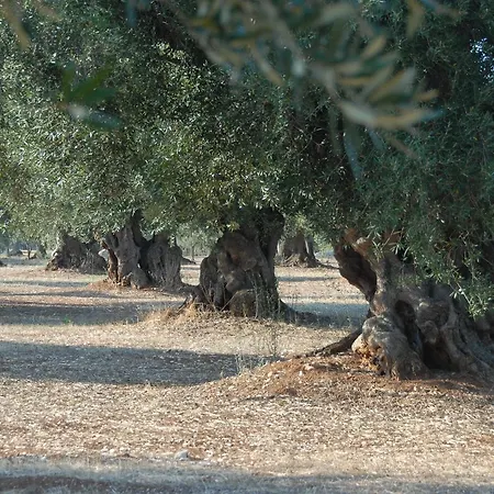 Apartament Casa Campari