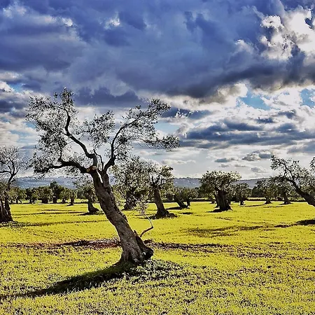 公寓 Casa Campari 奥斯图尼