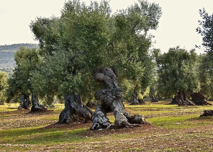 Apartamento Casa Campari